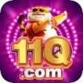 11q Master Latest v3.8.4